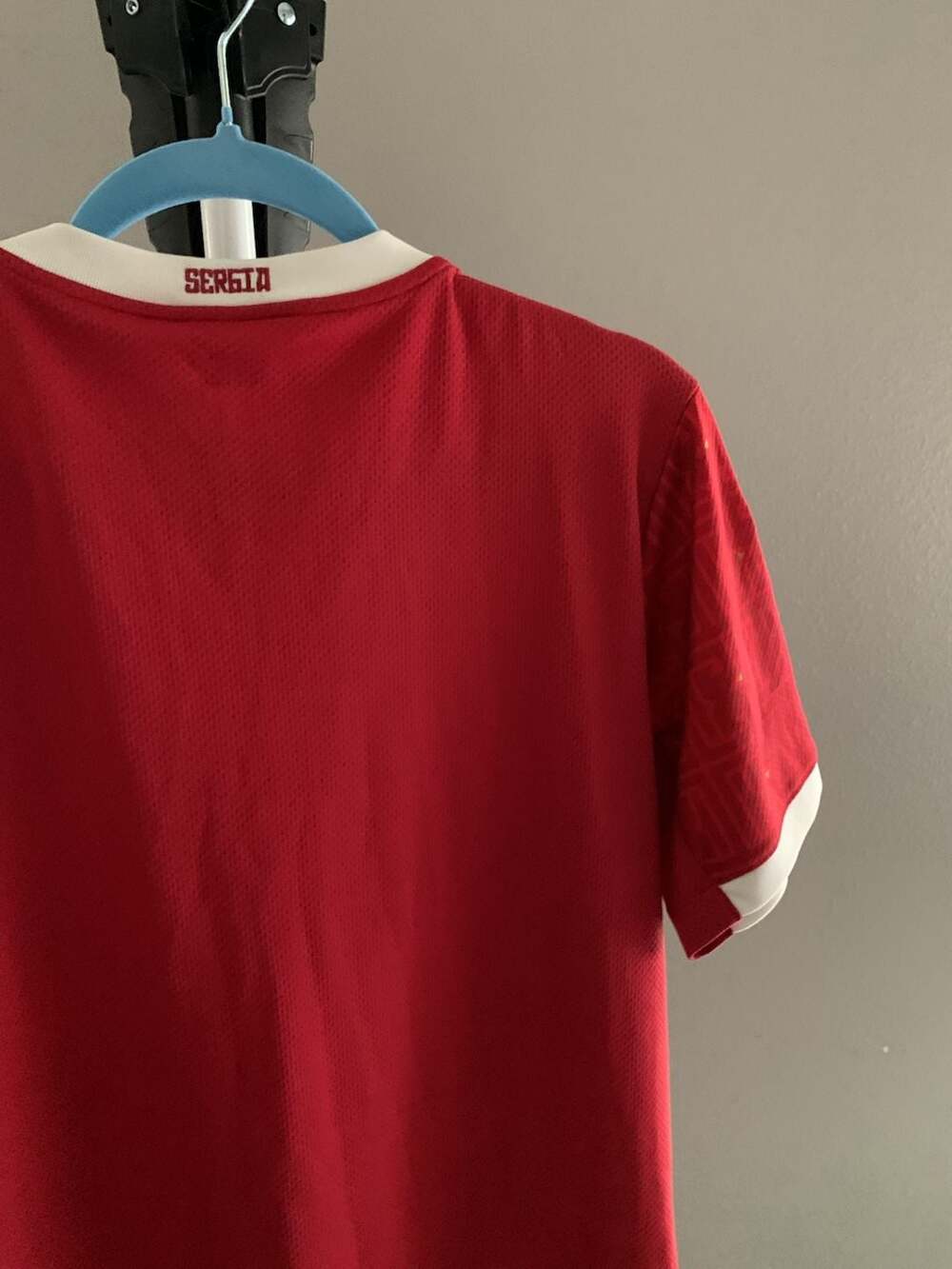 Puma Serbia 2020-2021 Men's Home Soccer Jersey - Picture 8 of 9